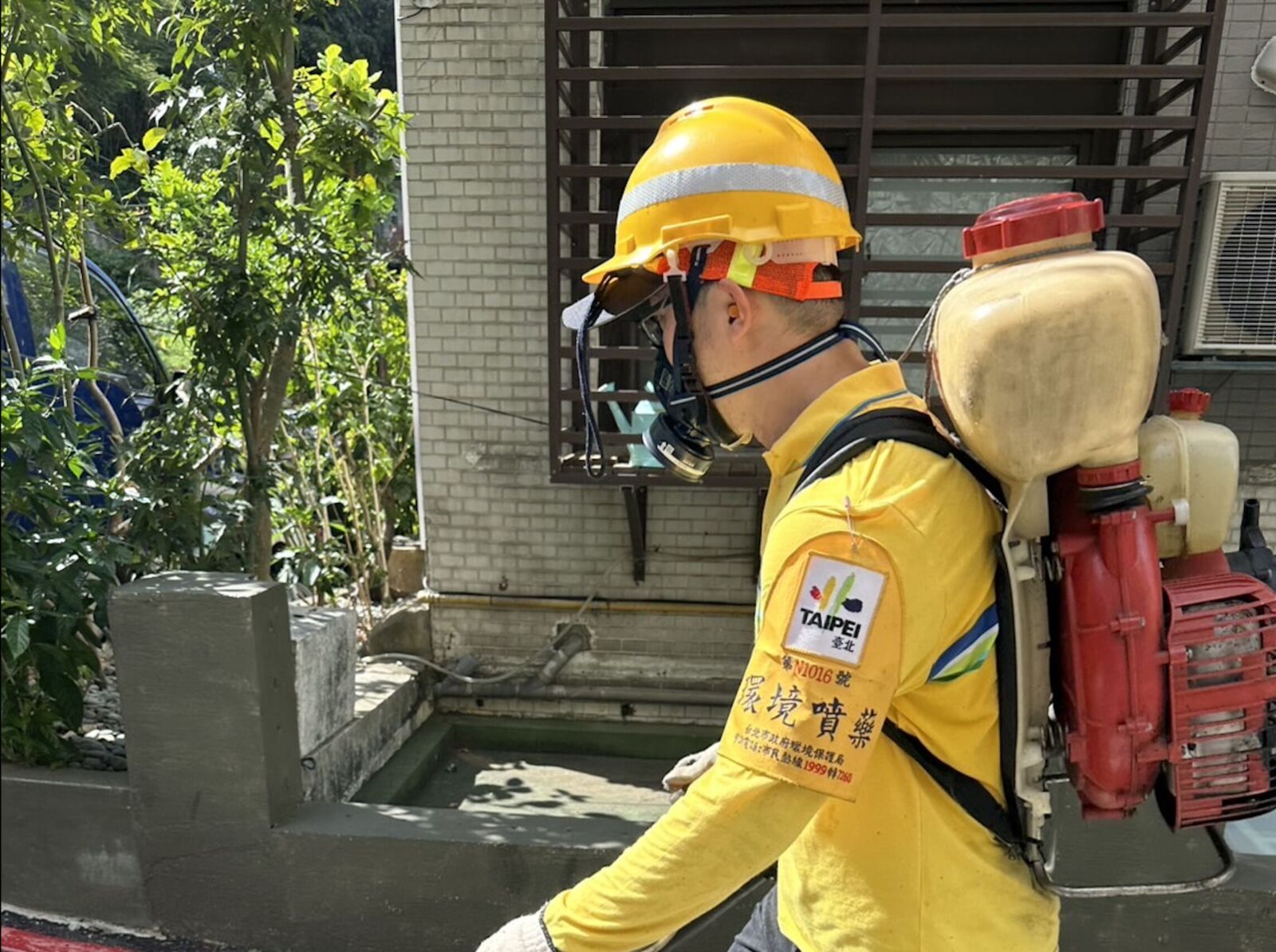 不到一週北部3縣市連環爆 北市士林區也冒本土革登熱!感染源不明 232 不到一週北部3縣市連環爆 北市士林區也冒本土革登熱!感染源不明 231