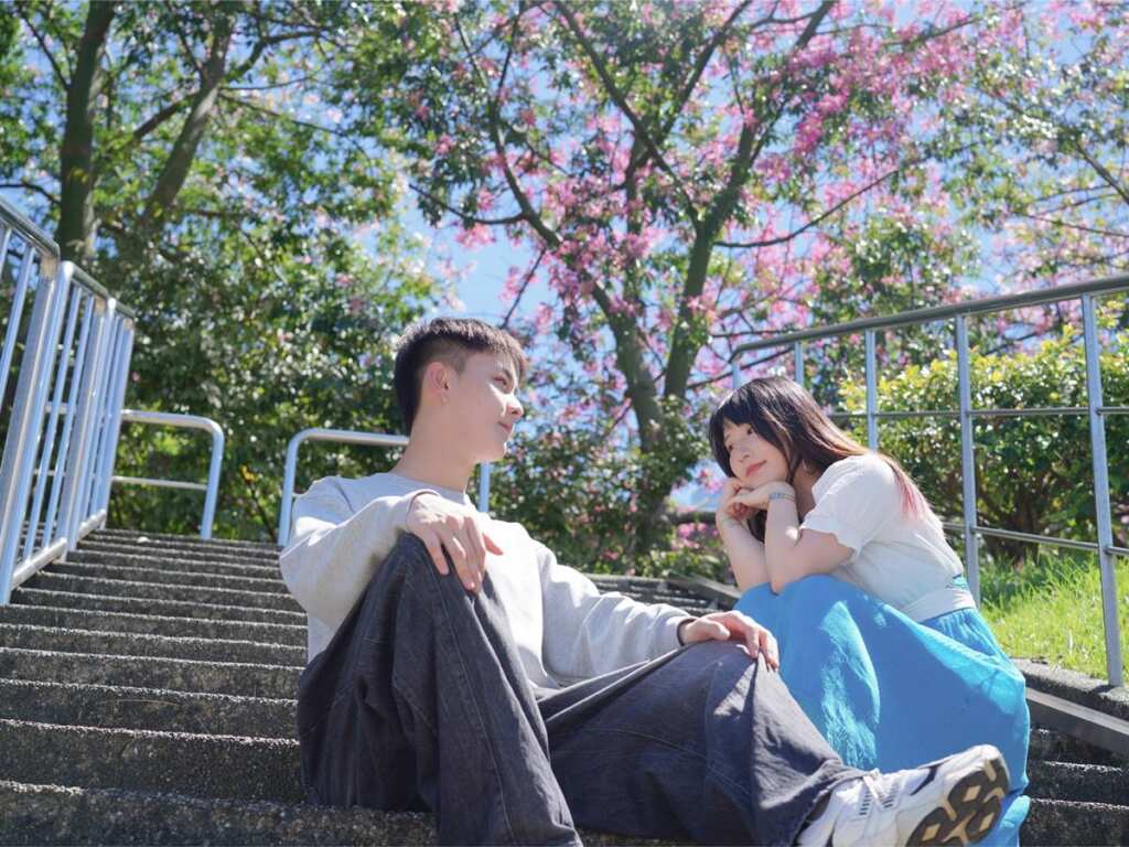 ▲位於三峽安溪里的「美人櫻」,用最浪漫的色彩訴說依依不捨的花語。
