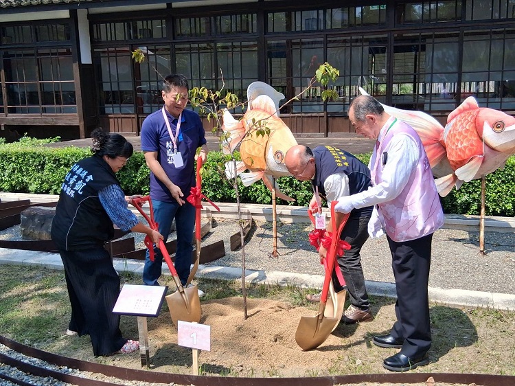 ▲由左至右雲林縣議會議長助理黃鳳、虎尾鎮長林嘉弘、台日交流協會高雄事務所奧正史所長及NPO法人育櫻會松澤寬文理事長,於涌翠閣前合植河津櫻花樹苗。 (記者劉春生攝)