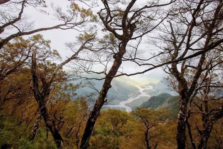 歡慶雙十假期!來趟秋日森林慢旅 12處國家森林遊樂區半票優惠入園