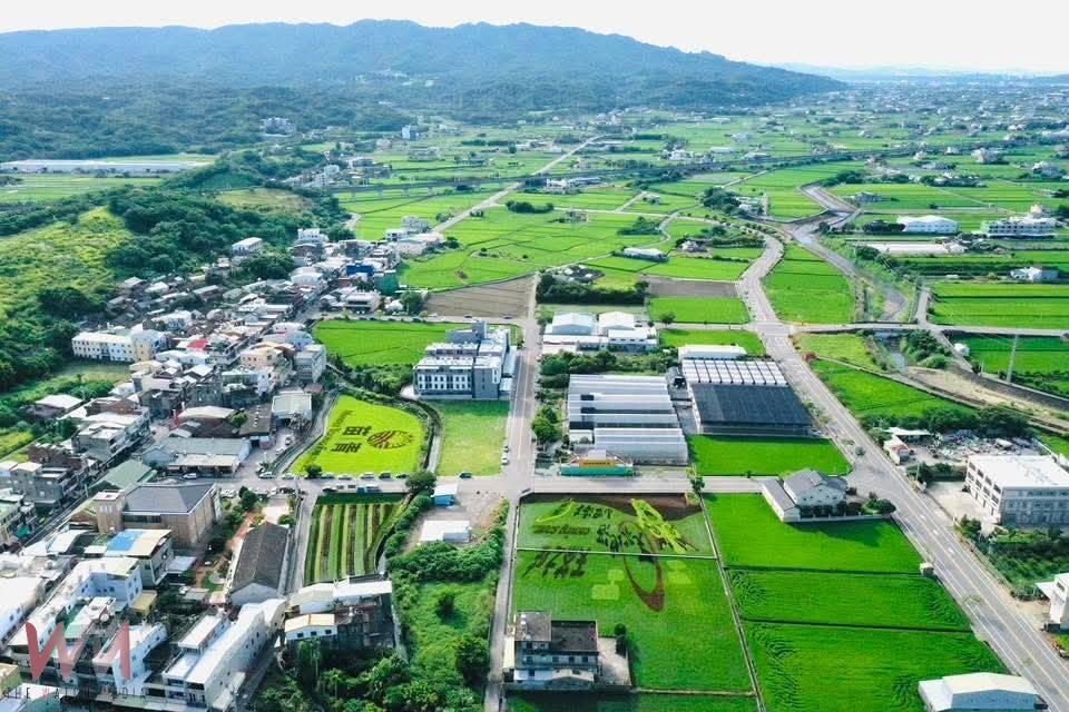 驚喜彩蛋搶先曝光!苑裡彩繪稻田超吸睛 「天茶地酒 山盟海寺」熱力登場 - https://www.watchmedia01.com