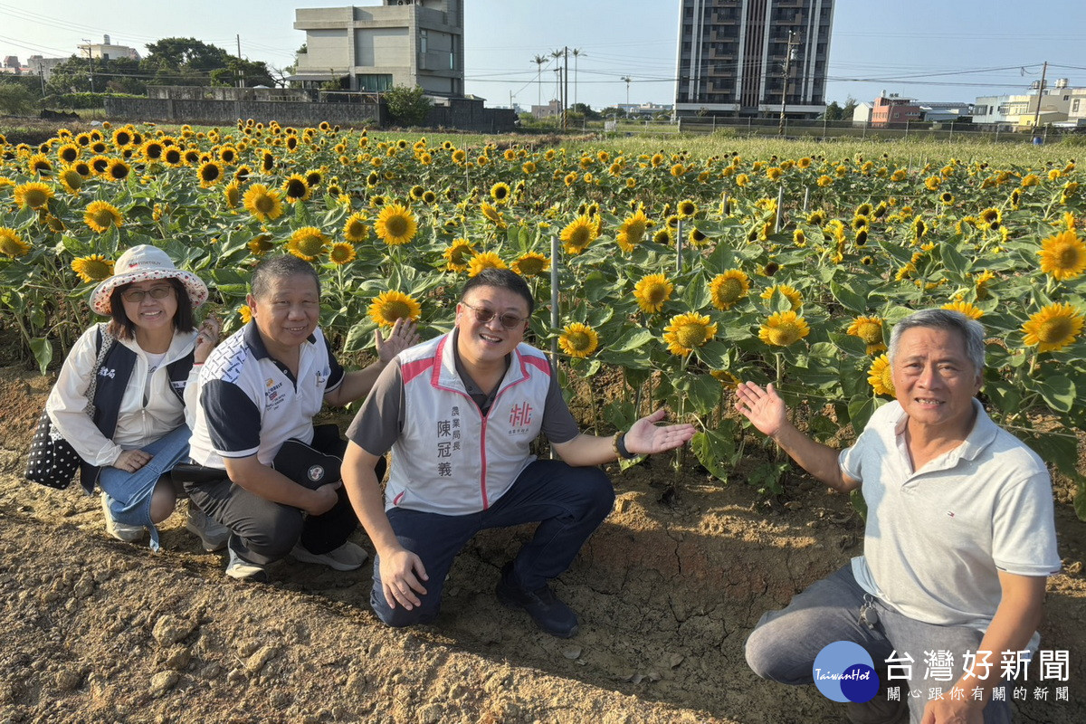 園慶雙十玩創意,巨型「國旗花布」溪海休區限定登場。