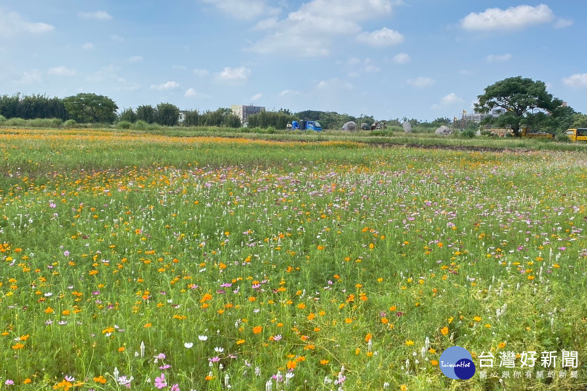 園慶雙十玩創意,巨型「國旗花布」溪海休區限定登場。