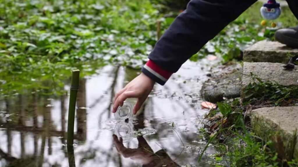 ▲新北市政府農業局輔導文山農場進行螢火蟲復育。