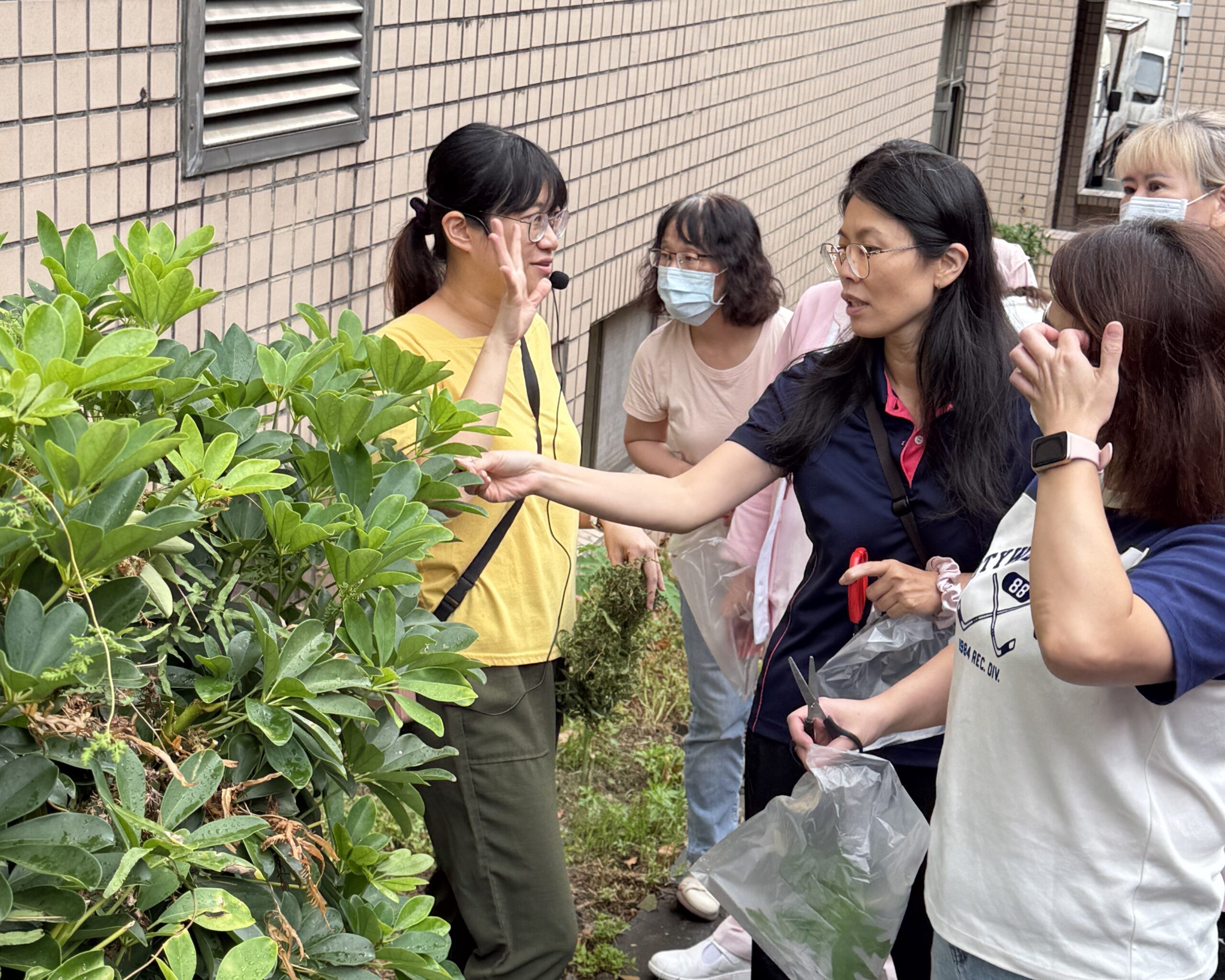 北榮桃園分院護理師體驗植物拓染 舒緩身心壓力 16 scaled