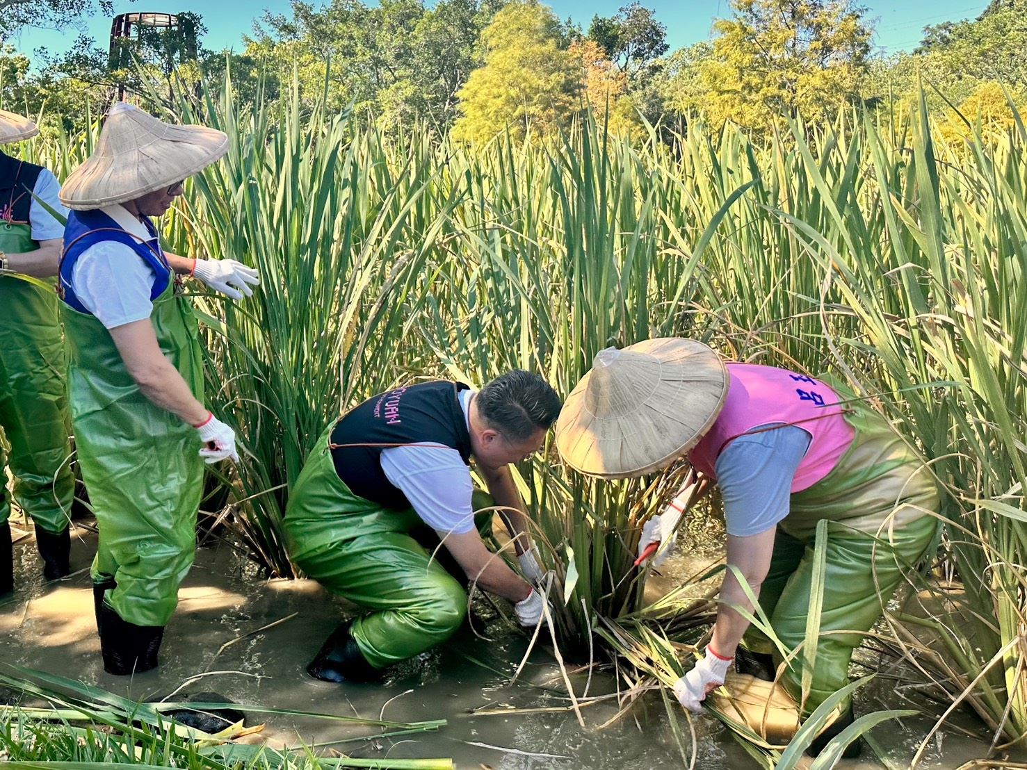 蘇俊賓化身食農教育老師 推廣龍潭三坑茭白筍 446a34d1 a7d4 4de6 90e9 35ae1cc54906