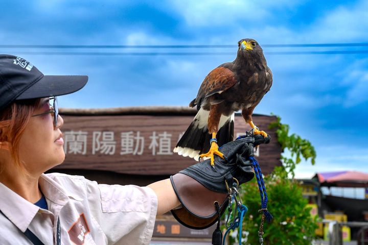 情侶必衝!親子必玩!東北角台灣好行三款套票 帶你吃喝玩樂一票搞定