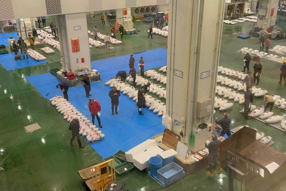 謝國樑率團考察豊洲、築地市場　借鏡日本推動崁仔頂魚市轉型 215