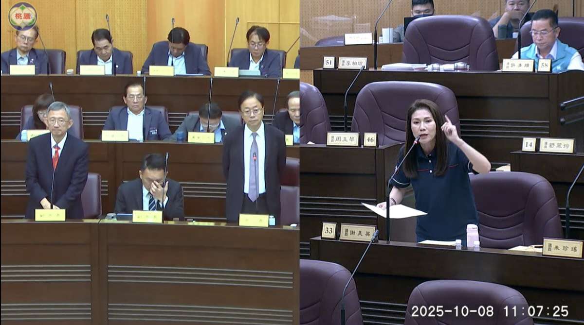 AAA演唱會從桃園改到高雄辦 謝美英點這關鍵原因 S 110174335