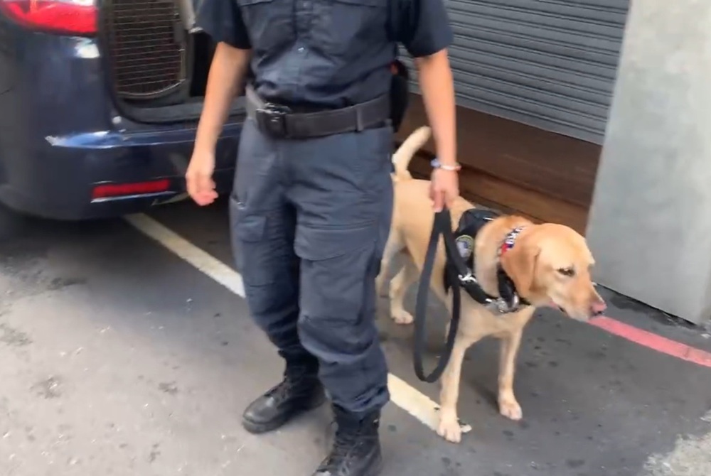 新北警犬出擊助掃毒 逮70餘人起獲大麻1350公克 220 cnews204251009a14