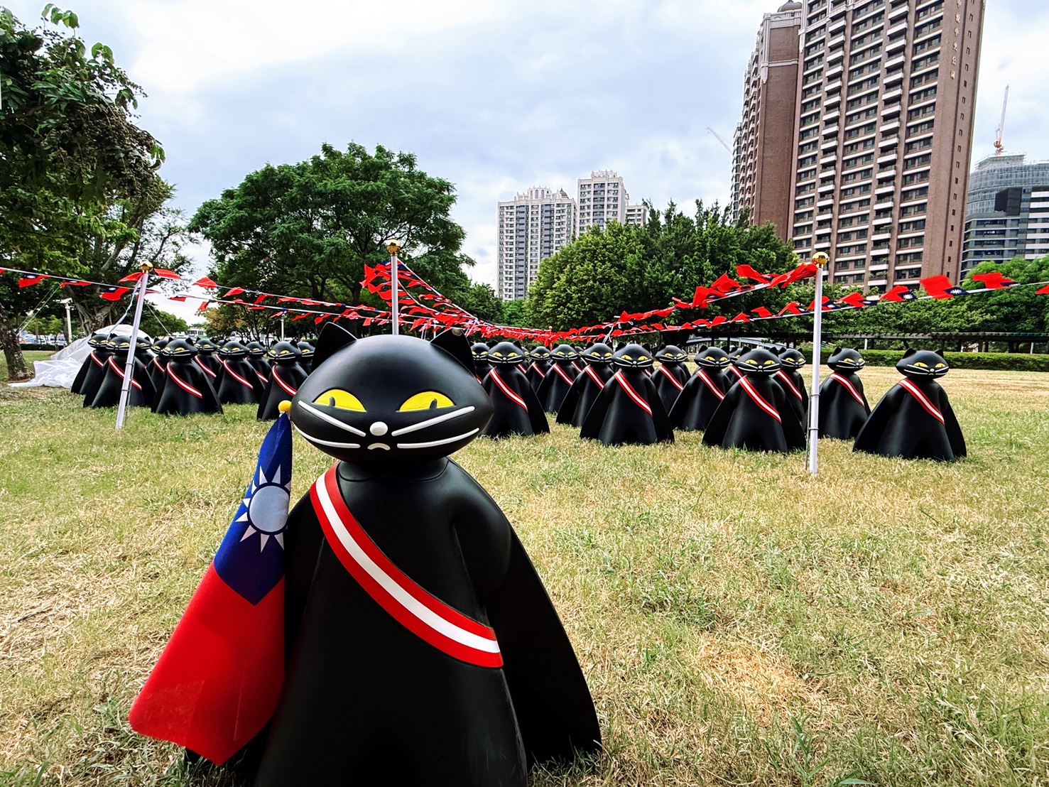 光輝十月!桃園逾6000面國旗飄揚 風禾公園「黑貓中隊」超吸睛 S 12976169 0