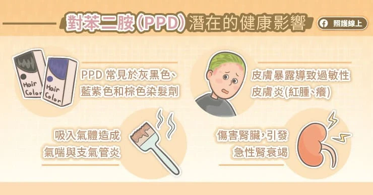 染髮可能影響腎臟功能?