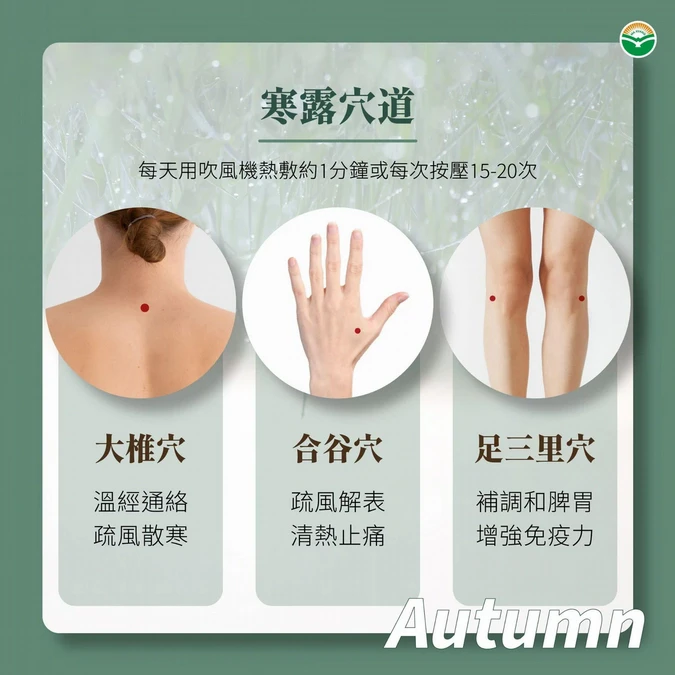 4. 穴位保健