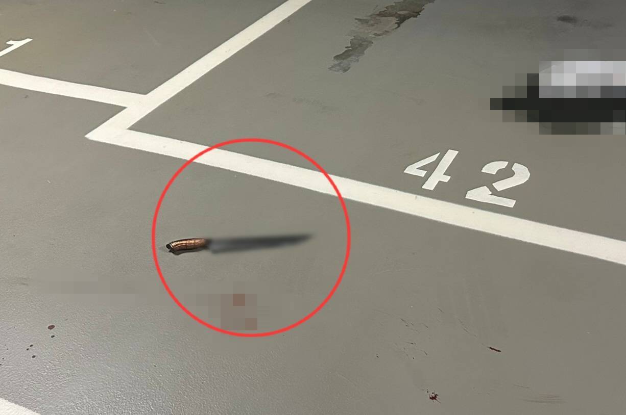 19歲男南港citylink遭砍殺　警逮2刀手：黑吃黑吞贓款「給他教訓」 237