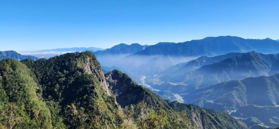 重磅喜訊 阿里山再登國際舞台榮獲雙料大獎
