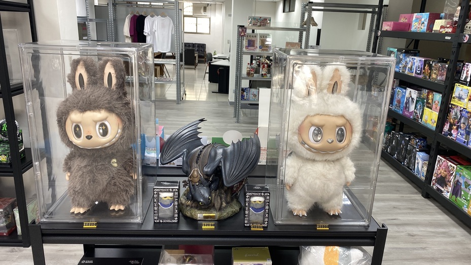 台北松山區小巨蛋《笙笑玩具》展示 Labubu 限量公仔,吸引粉絲入內觀賞(圖/Medick Marketing Ltd.提供)