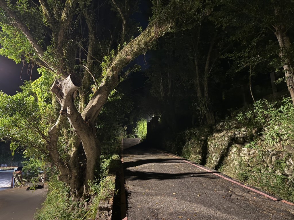 新店男深夜不明原因路倒北宜路 遭返家小黃輾斃