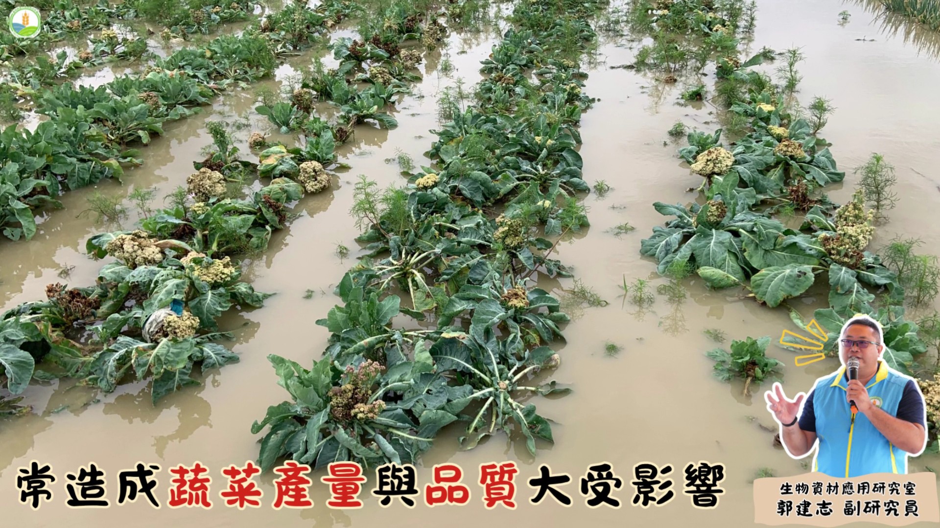 耐候微生物助蔬菜抗逆境 臺中農改場推抗逆蔬菜新技術 - https://www.watchmedia01.com