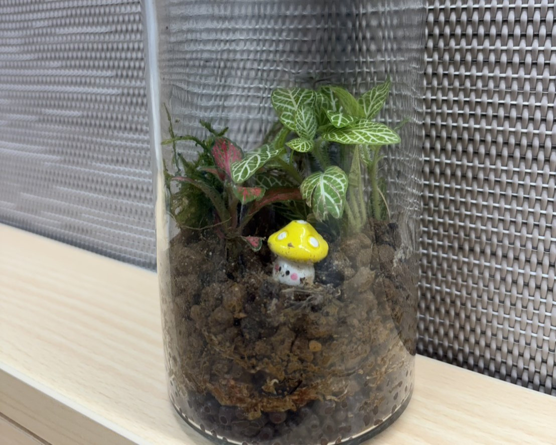 透明玻璃瓶內的微型生態系細膩呈現,綠意與色彩彷彿將護理師的療癒心意封存其中