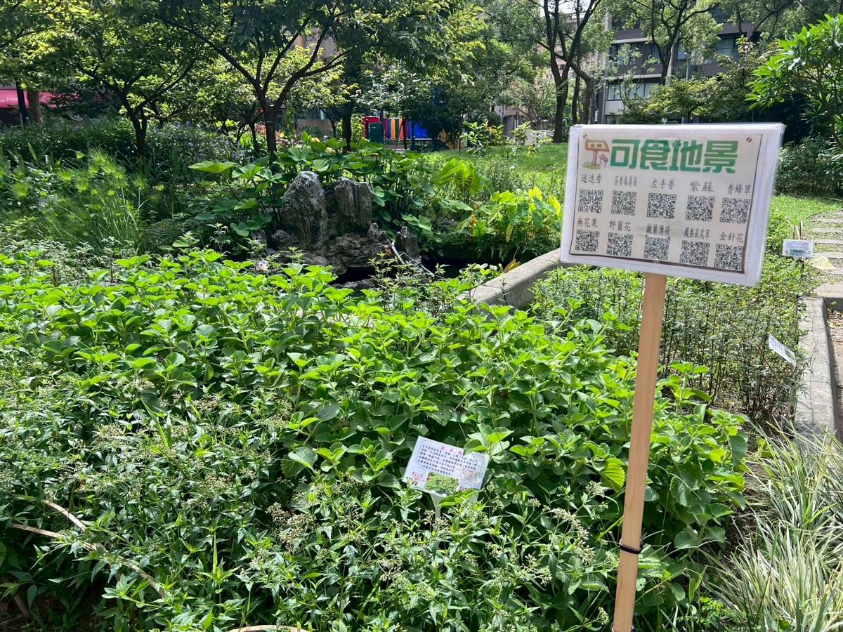 社區綠美學展成果 新北打造永續城市新樣貌