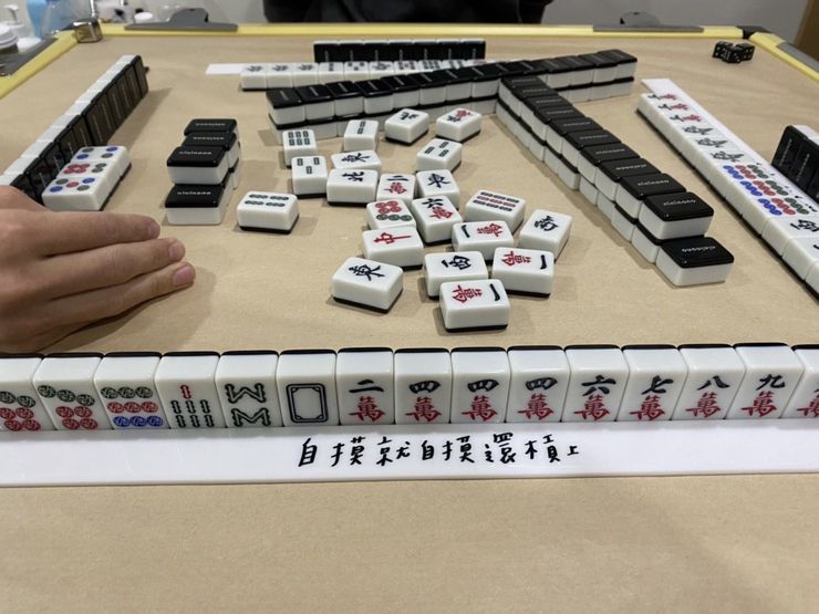 勸母別打麻將快回家　貼心子遭牌咖狂毆5拳成殘廢 239