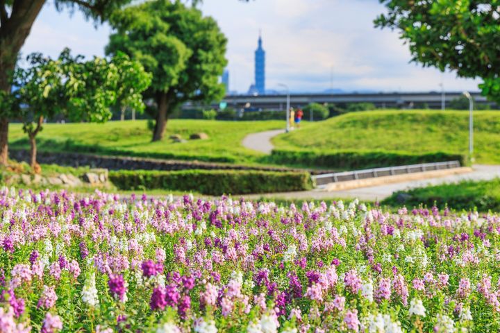 季節限定浪漫滿分打卡點 北市美堤河濱5萬盆花草盛開