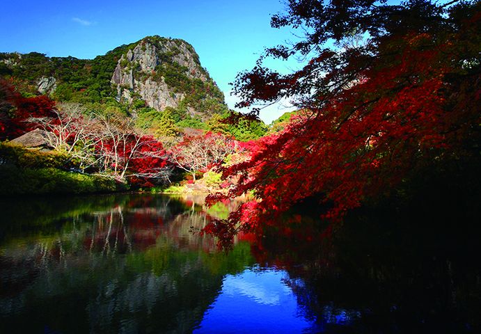 紅葉正美、祭典最嗨!秋玩佐賀感受滿滿熱力 台灣虎航台北直飛佐賀2小時1799起