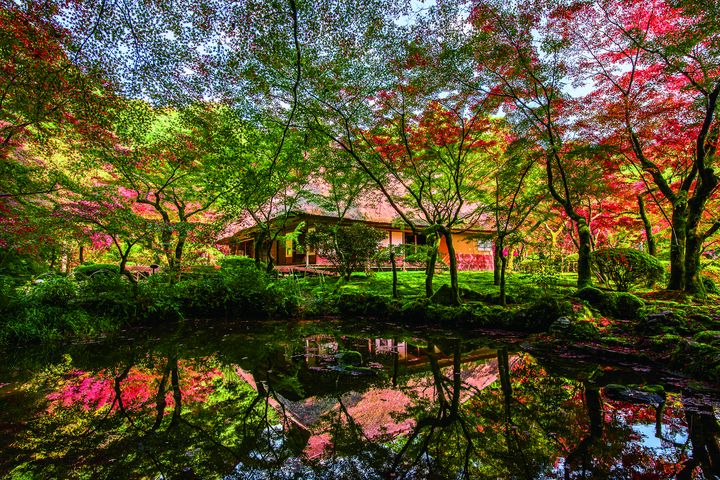 紅葉正美、祭典最嗨!秋玩佐賀感受滿滿熱力 台灣虎航台北直飛佐賀2小時1799起