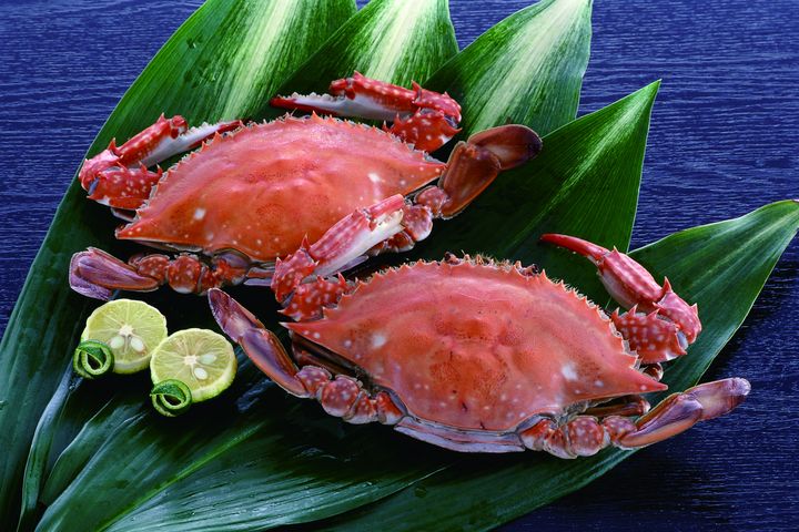 紅葉正美、祭典最嗨!秋玩佐賀感受滿滿熱力 台灣虎航台北直飛佐賀2小時1799起