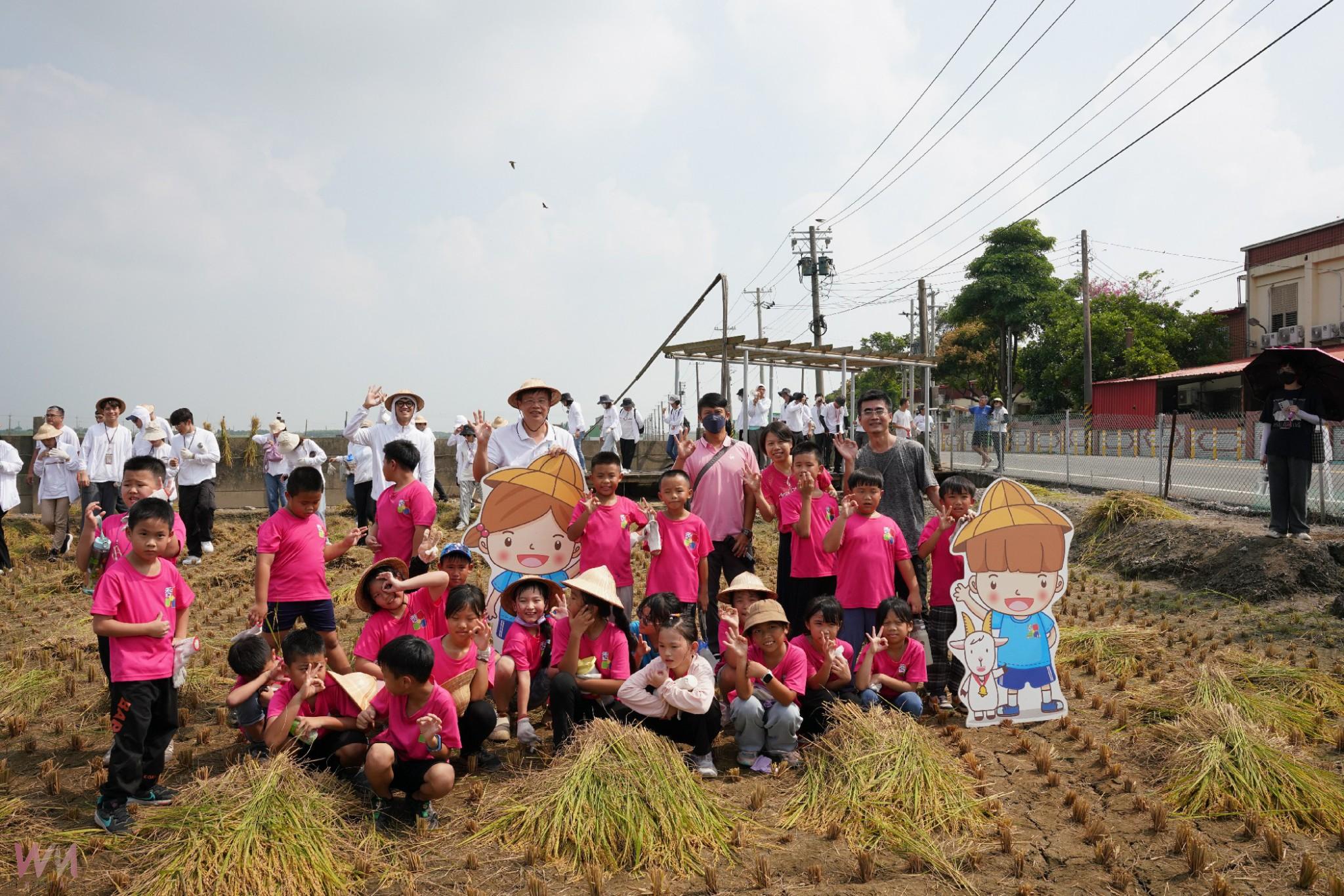 (有影片)/稻浪金黃香田飄米香 高鐵攜手學童割出食農教育成果 - https://www.watchmedia01.com