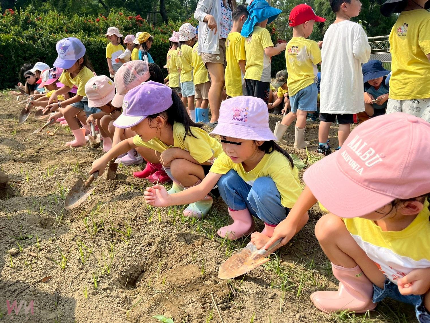 幼兒化身小農夫栽種蔬果　作中學體驗食農教育 - https://www.watchmedia01.com