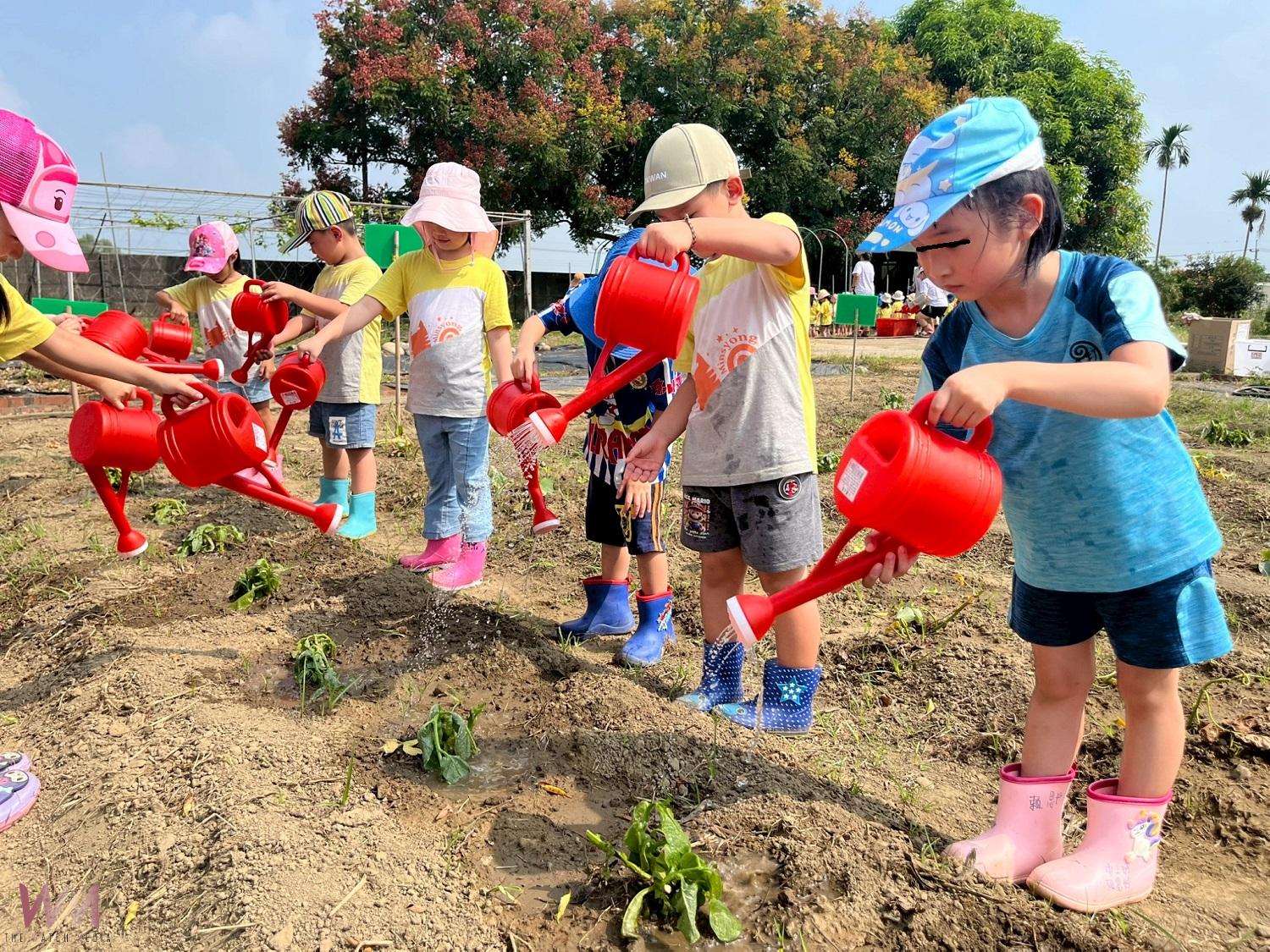 幼兒化身小農夫栽種蔬果　作中學體驗食農教育 - https://www.watchmedia01.com