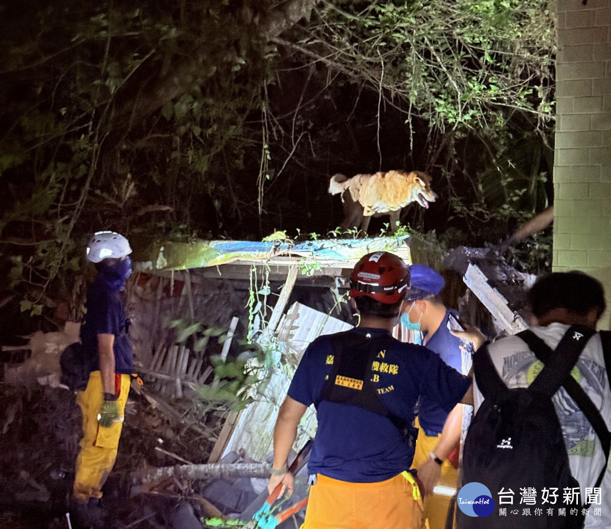 黃漢群與特搜隊員從一處半掩的屋頂上救下一隻受困的狗/嘉基醫院提供