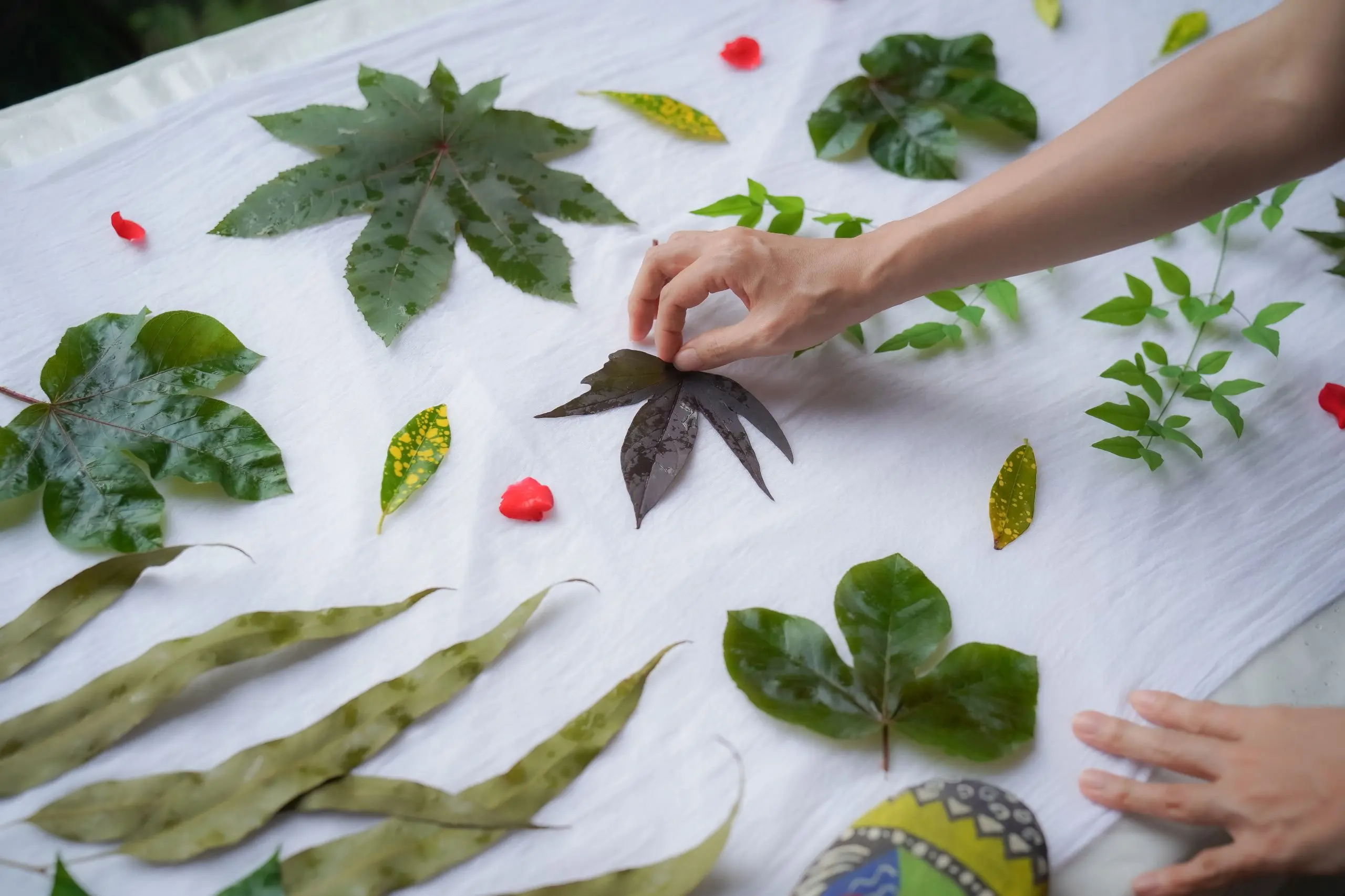 【曾文水庫音樂會】曾文水庫音樂會 南台灣旅遊推薦 紅瓦貓植物染手作體驗過程@西拉雅國家風景區管理處