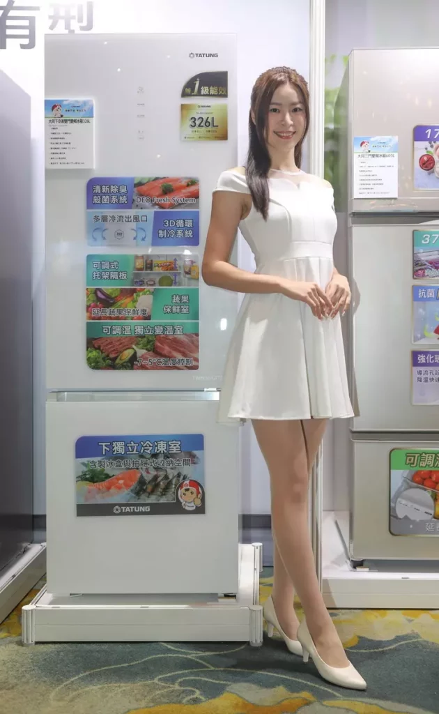 大同雙門下冷凍變頻冰箱