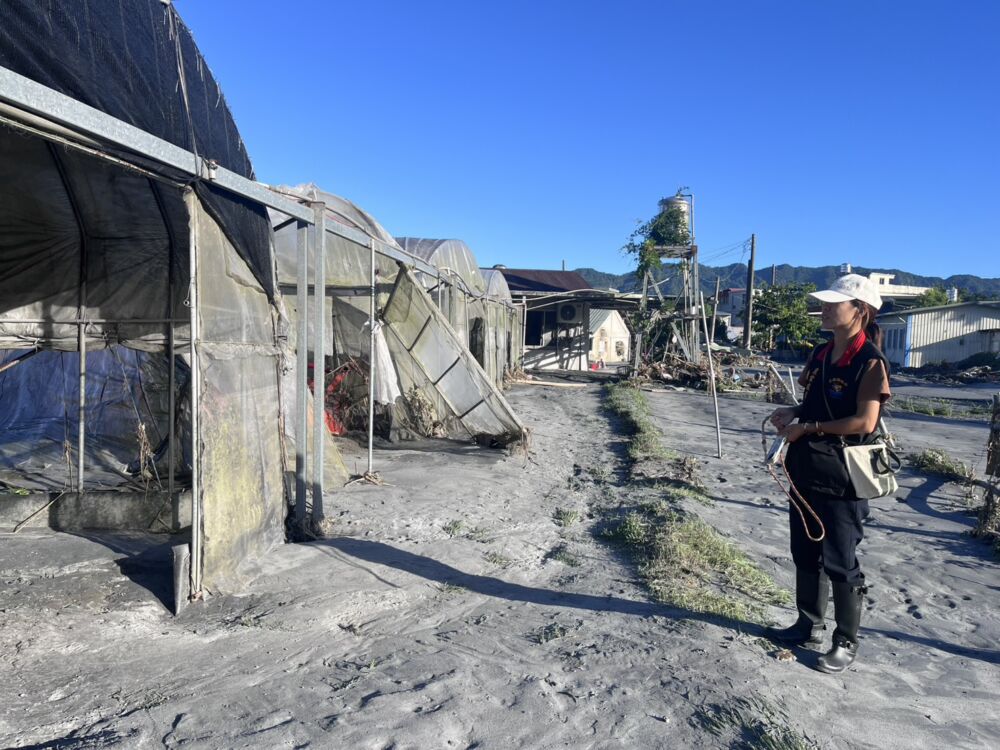 農業部公告花蓮鳳林3地段全品項現金救助　花蓮縣府受理至10/30止 233