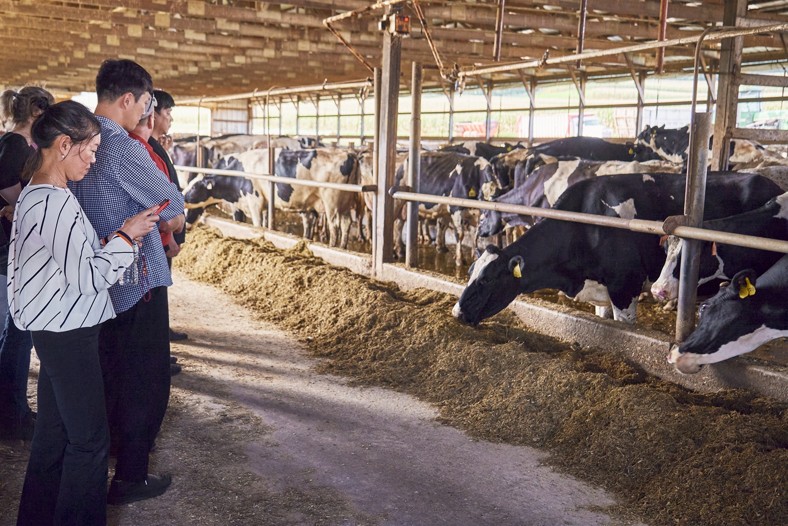 滬粵雅饌三廚匯藝 USDEC開啟乳酪復興 水手牌預拌粉支援日常美味 223 cnews207251016a02