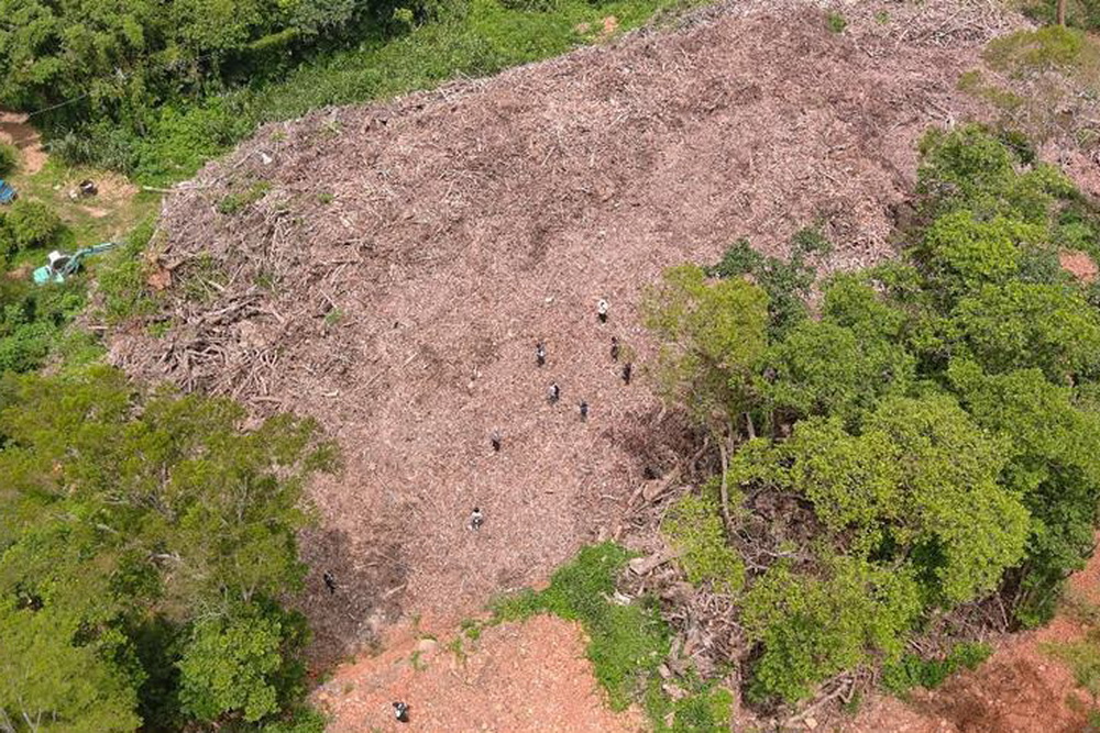山坡地堆上萬噸一般廢棄物 苗檢起訴求重刑 212 山坡地堆上萬噸一般廢棄物 苗檢起訴求重刑 211