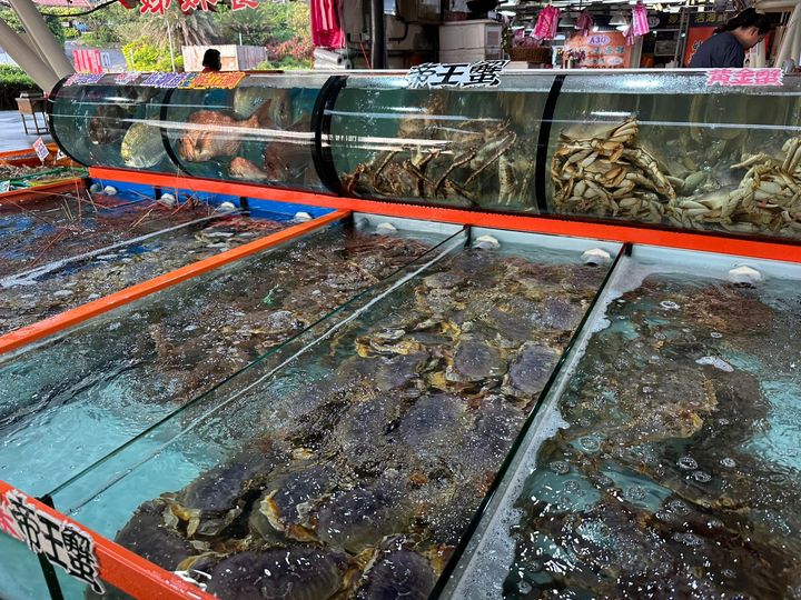 「新北海派」登場 到石門賞美景、品嚐秋冬海味正當時