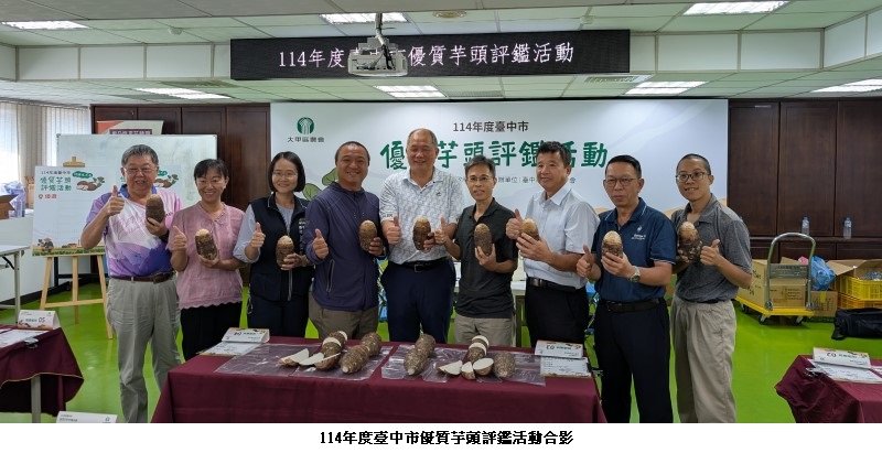 台中芋頭享譽全國 芋頭評鑑大甲區王忠信勇奪冠軍頭銜！