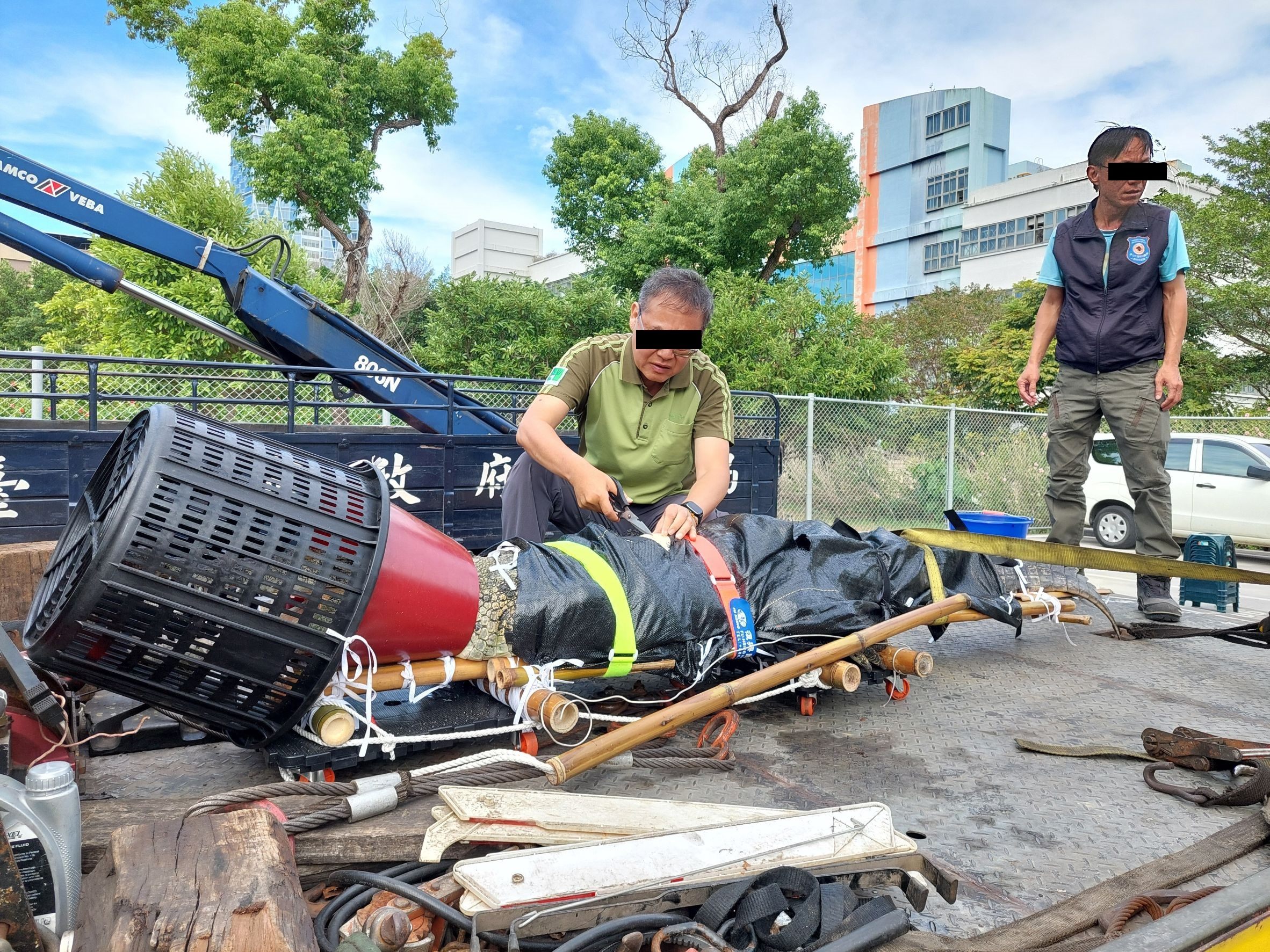 憂禁養斷生計，嘉義業者運近3米長河口鱷赴立院抗議
