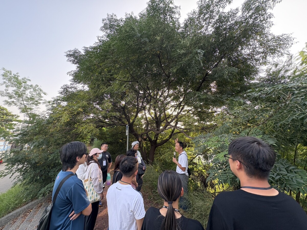 2656a14a7a4c32f96270b674819fd9bd