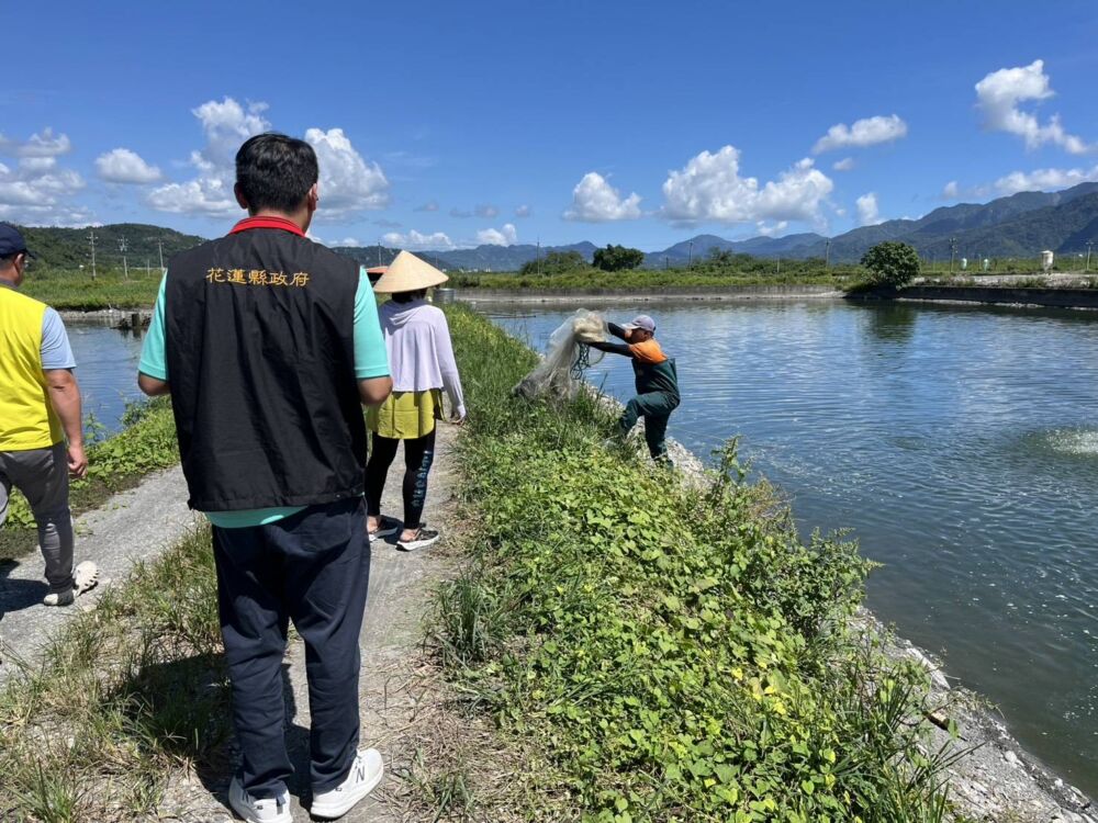 農業部公告玉里養殖蜆現金救助 花蓮縣府受理至10/30止 194 農業部公告玉里養殖蜆現金救助 花蓮縣府受理至10/30止 193