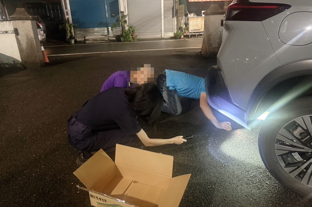 穿山甲疑迷路躲汽車底盤 屏東警助萌獸脫困 226 cnews204251017a18