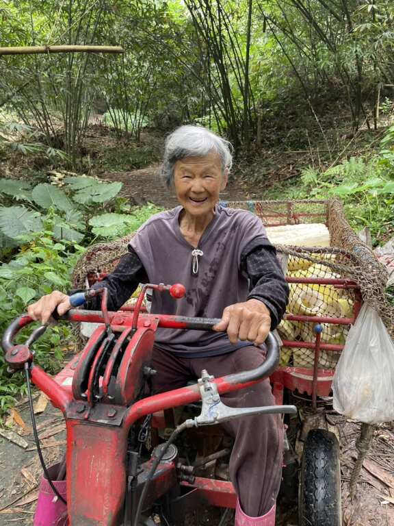 ▲雲林91歲阿嬤堅持每日上山採筍,自駕搬運車展現農村不老精神。