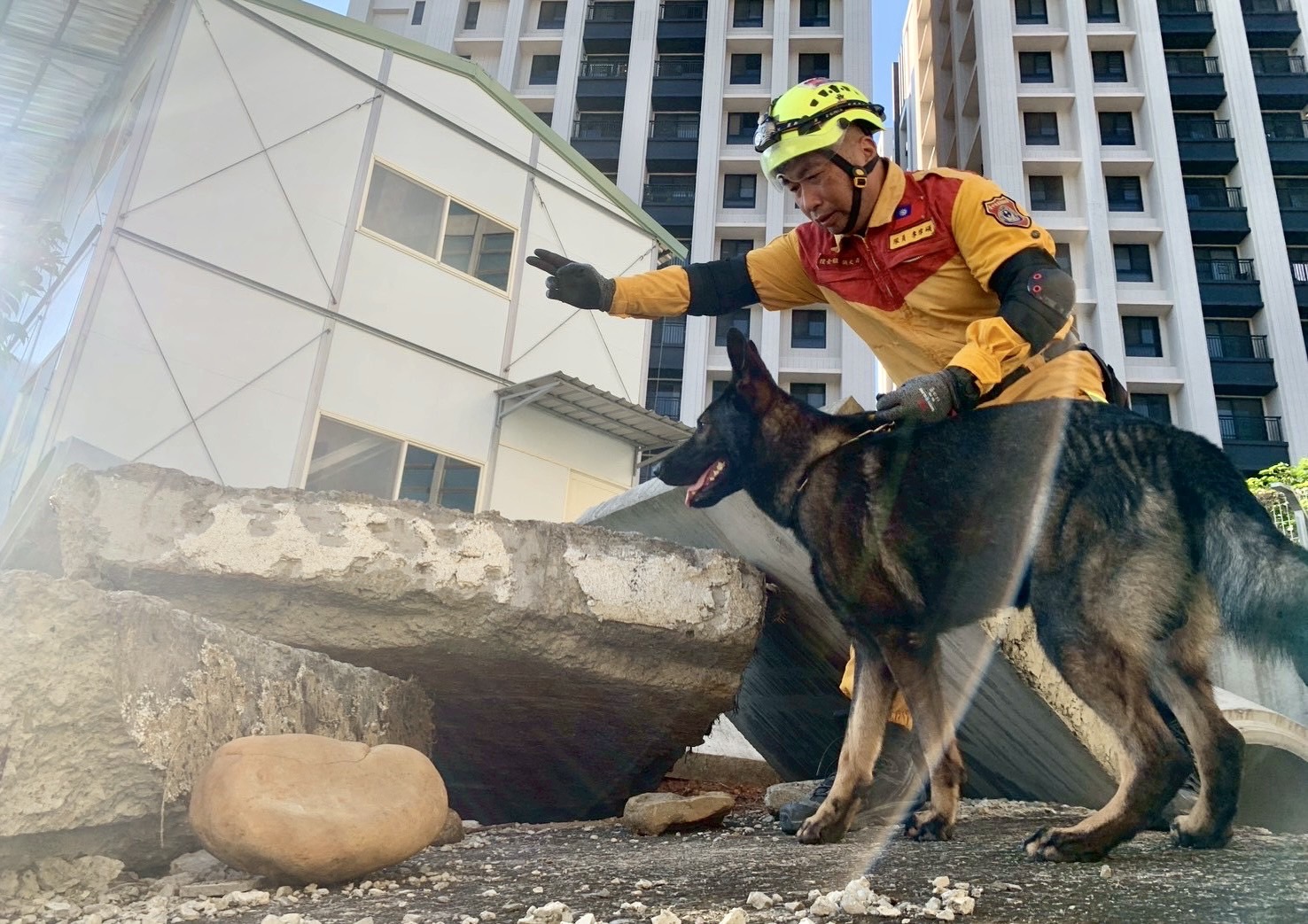 國際搜救犬組織(IRO)評審於現場與搜救犬訓練員進行交流與講評,竹市消防局搜救犬「Brook」(黑色拉布拉多)在訓練場休息等待指令,展現良好服從與穩定性。(圖/記者張家燁翻攝)