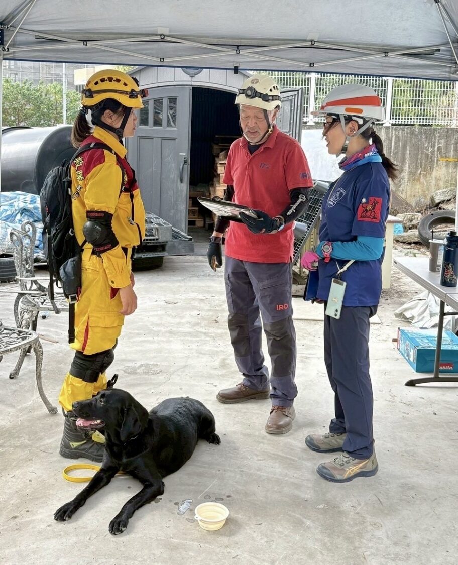 竹市消防局搜救犬於IRO國際評量現場執行瓦礫堆搜尋測驗,搜救員引導犬隻鎖定氣味來源,模擬實際災害現場的搜尋情境。(圖/記者張家燁翻攝)