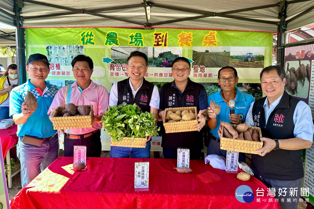 桃園市副市長蘇俊賓出席「大園甘藷節」活動,力推桃園優質甘藷 。