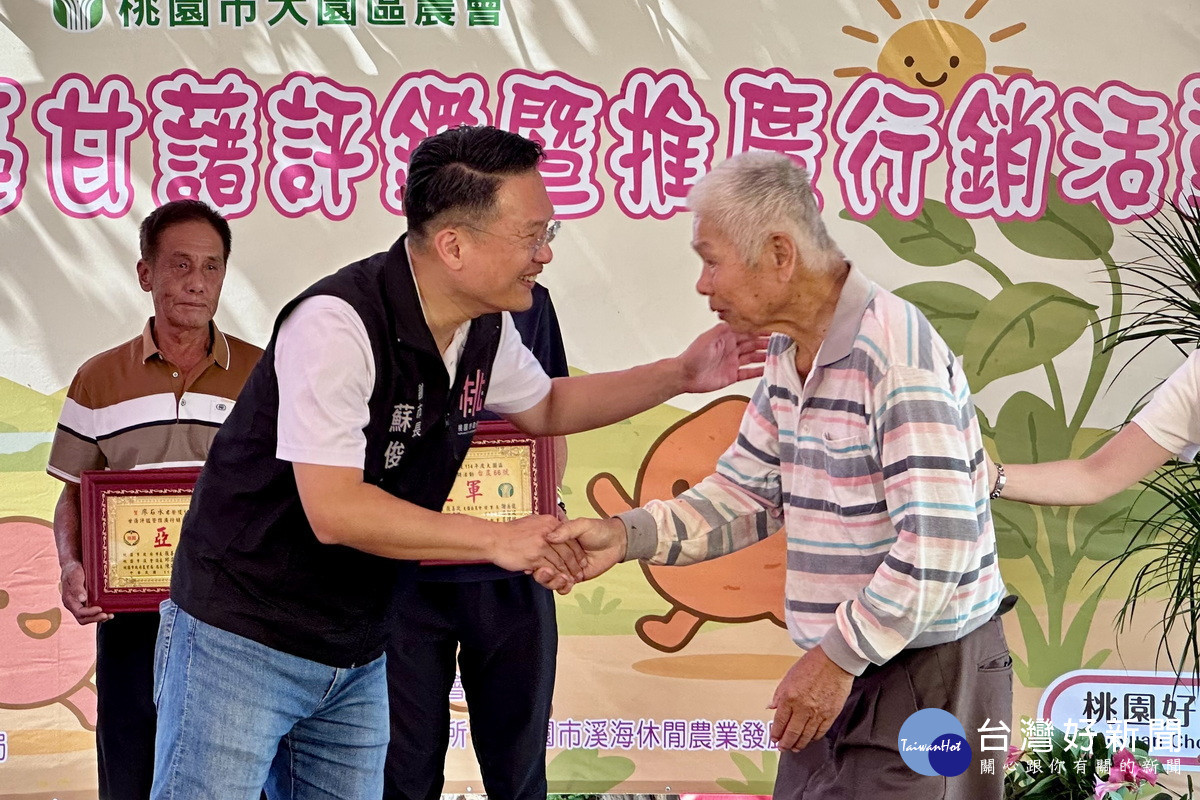 桃園市副市長蘇俊賓出席「大園甘藷節」活動,體驗農村傳統文化「焢窯、開窯」。<br /><br />