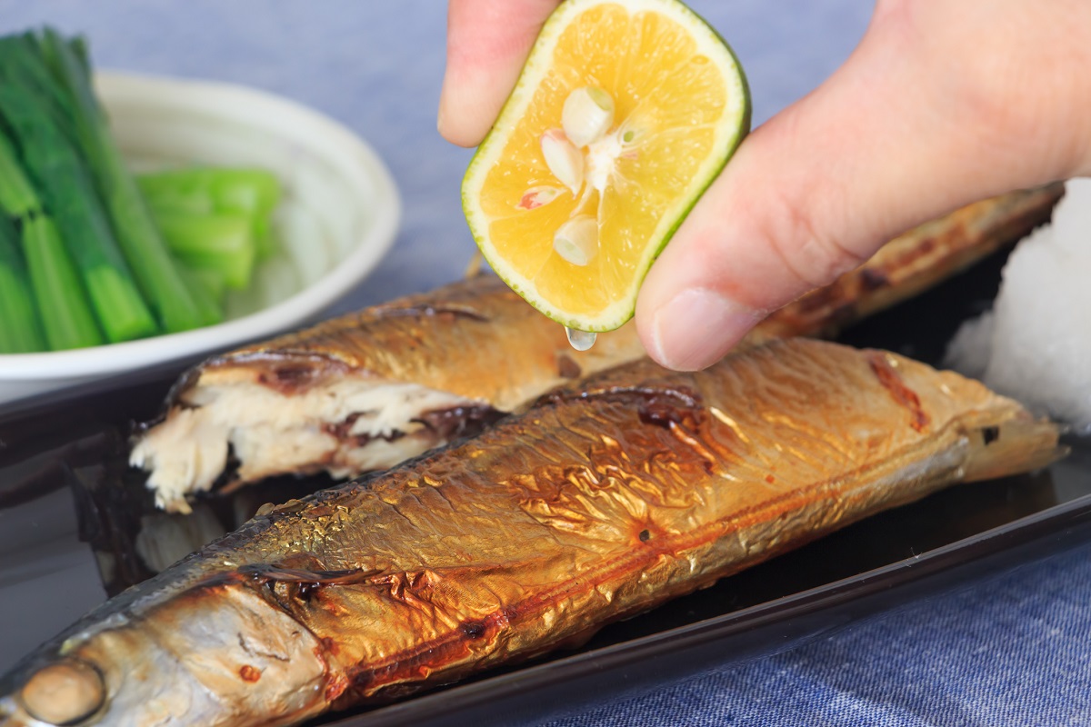 Omega-3含量是鮭魚2倍！醫大讚「這1種魚」營養又降三酸甘油脂  護心血管必吃